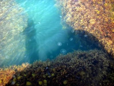 Прикрепленное изображение: LPZWyu86NHg.jpg